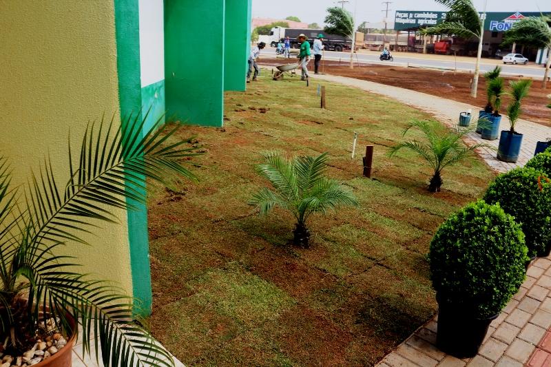 Arborização Ornamental da Prefeitura